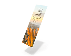 Bookmarks